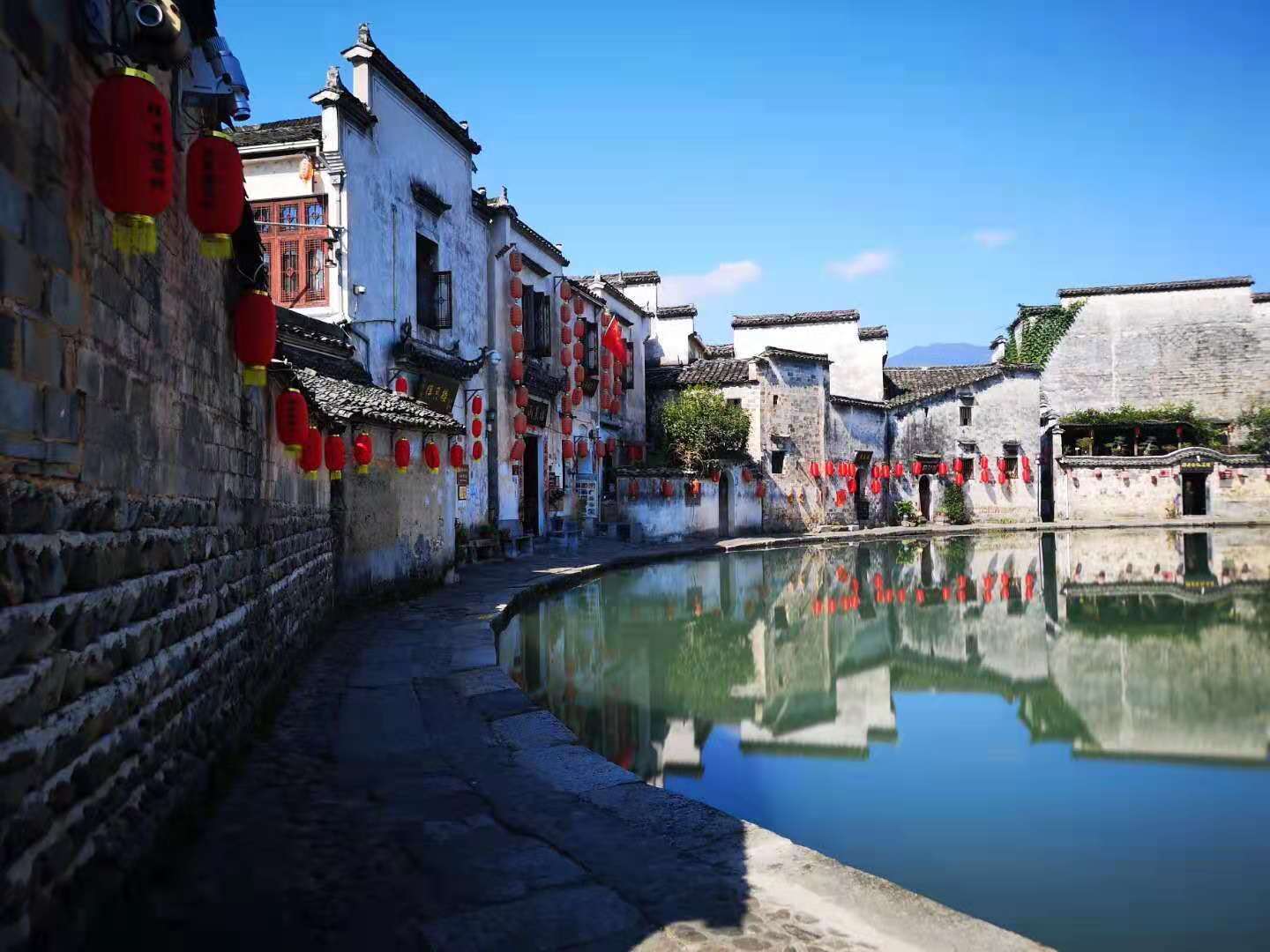 组照类共3大类别