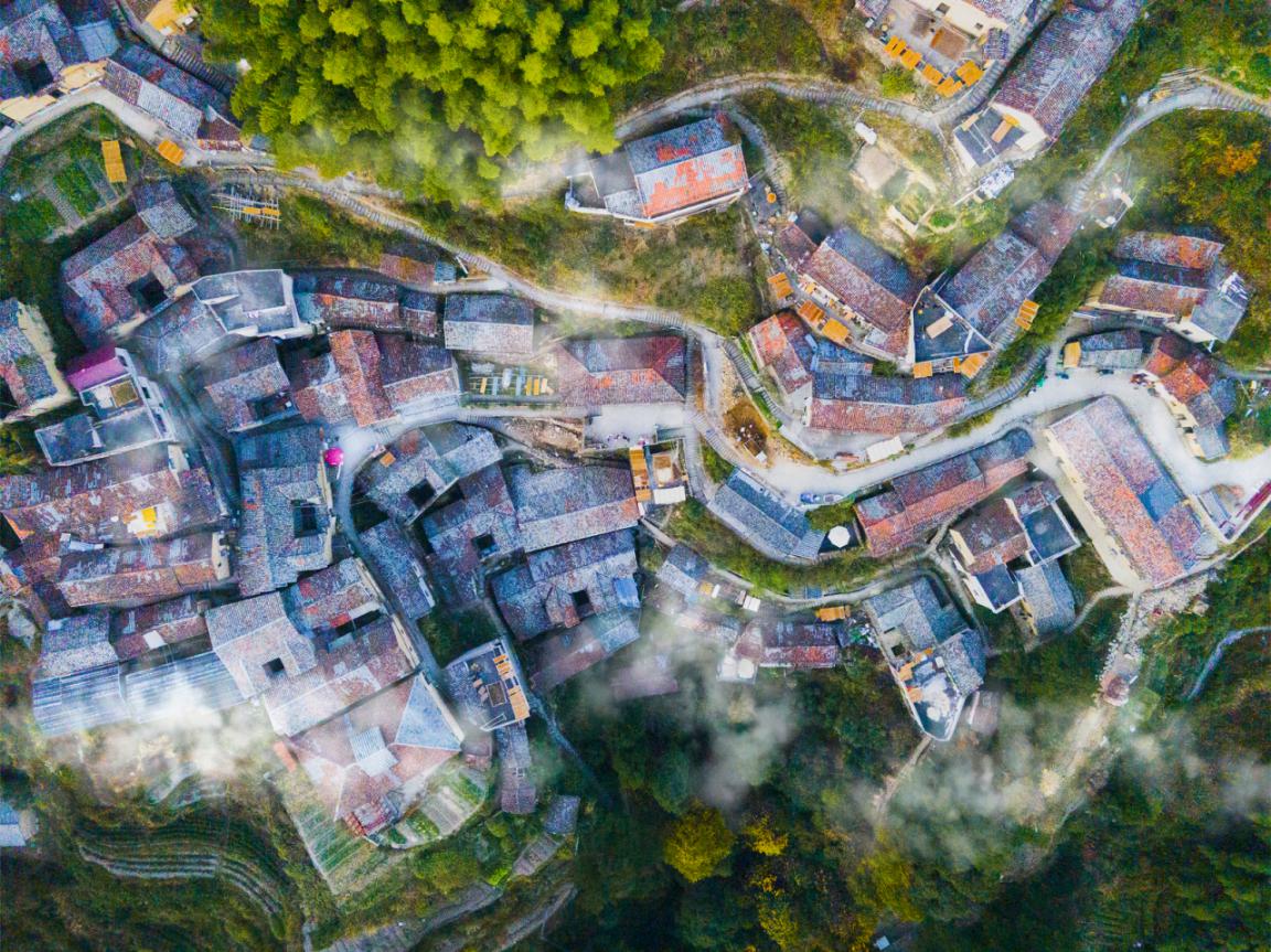 文化建设