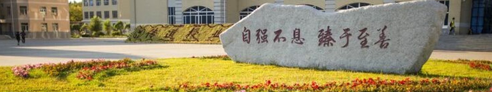 星空星空体育app最新版下载规则须知